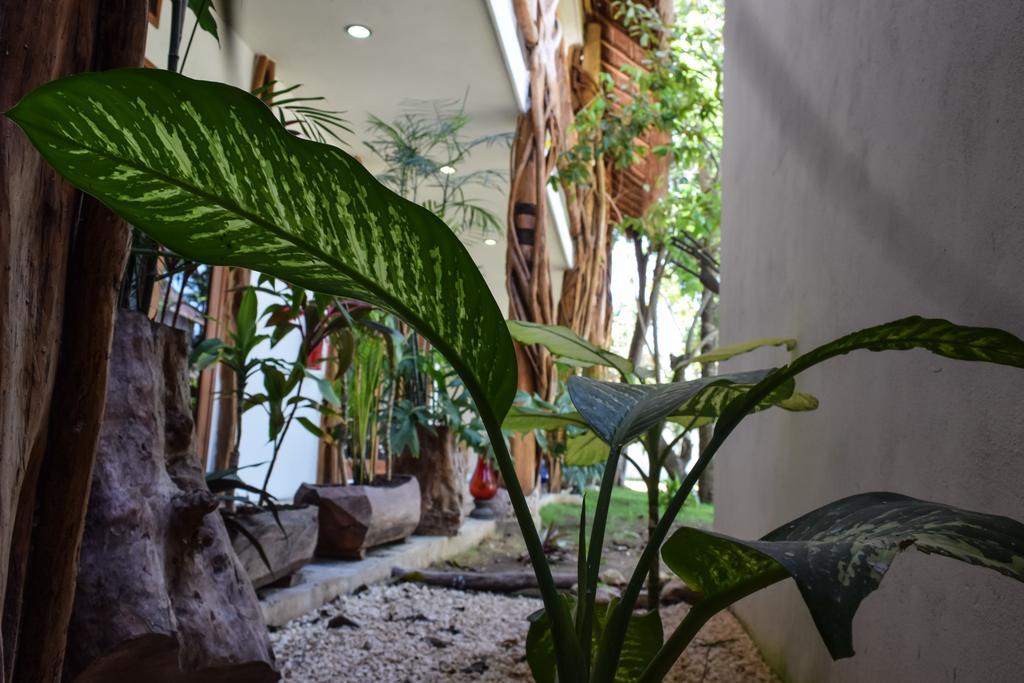 Corazon De Jade Tulum Hotel Luaran gambar